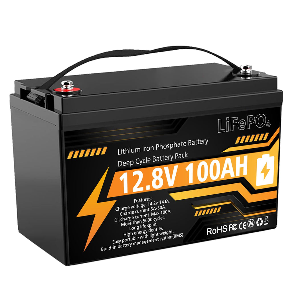12V 100Ah LiFePO4 Deep Cycle Battery M39791
