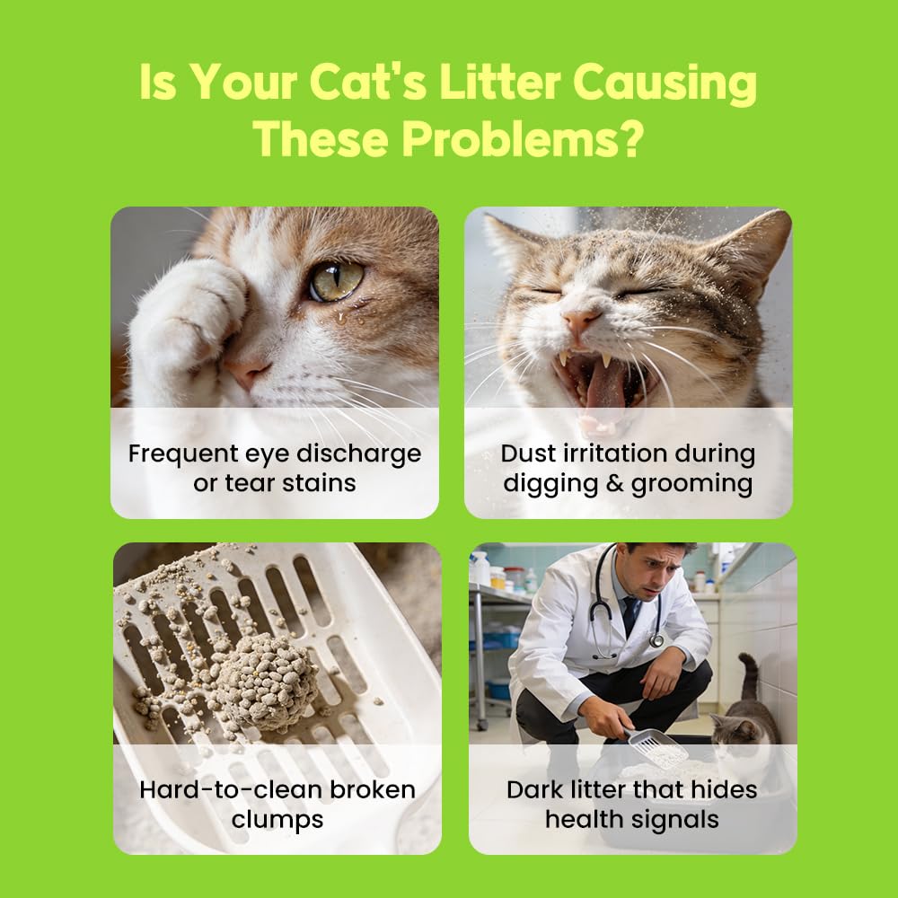 Cassava Cat Litter, Odor Control Dust-Free Clumping Litter I231945