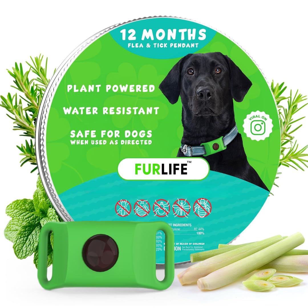 Green Dog Tag A9443