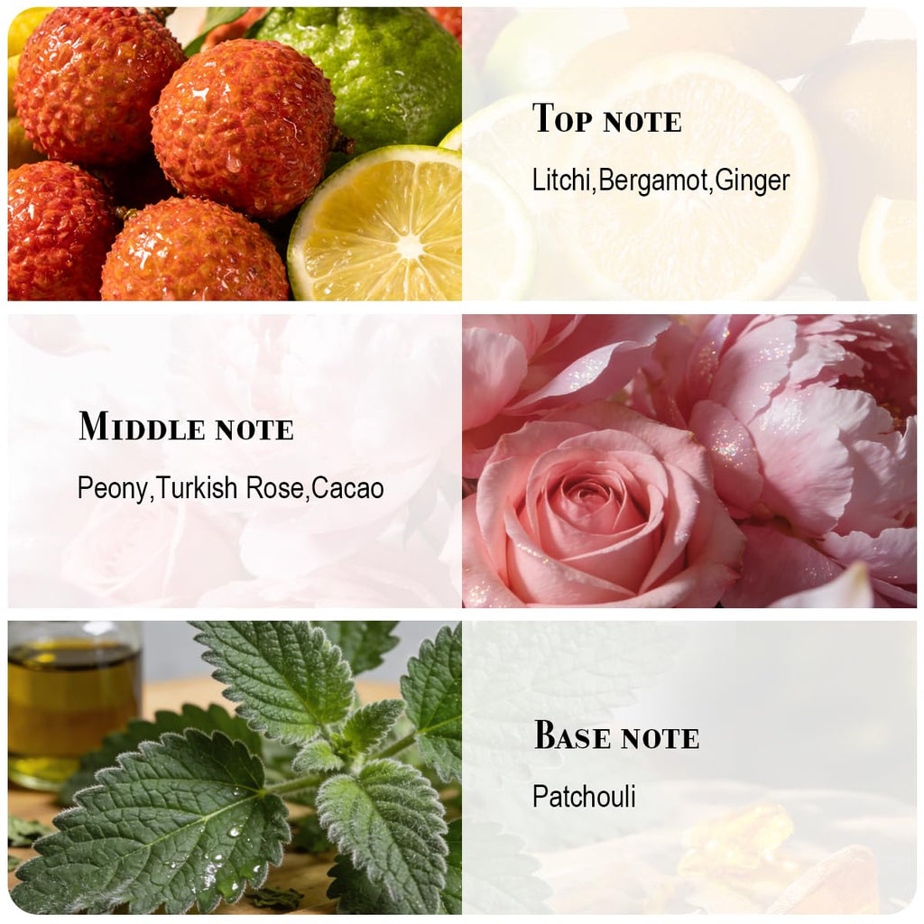 Eau de Parfum for Women 50ml Y311
