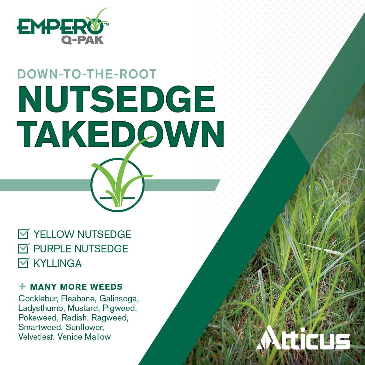 2 Pack Turf Herbicide K973