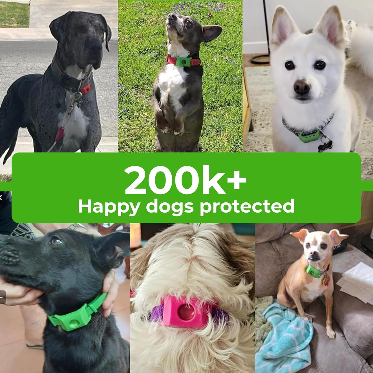 Green Dog Tag A9443
