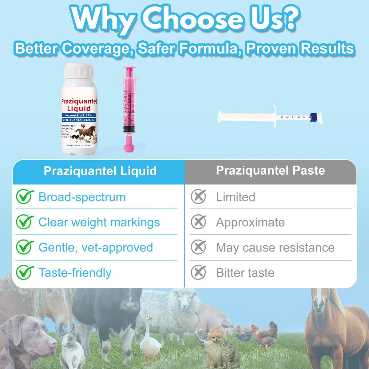 Praziquantel Dewormer 100 mL H4043