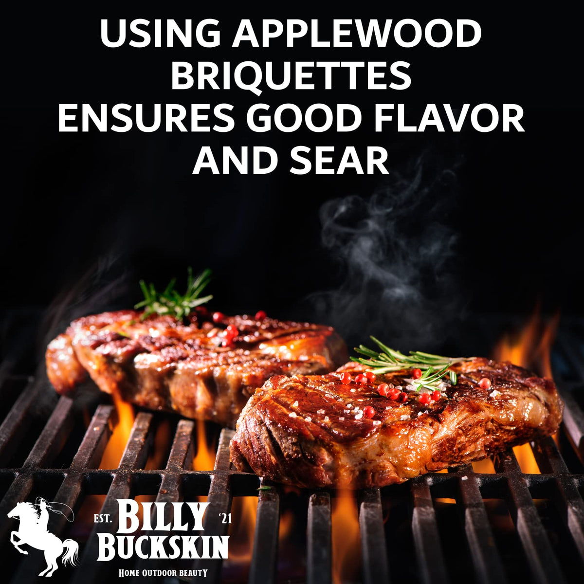Oak & Applewood Charcoal Briquettes 6.5 Lb E150964