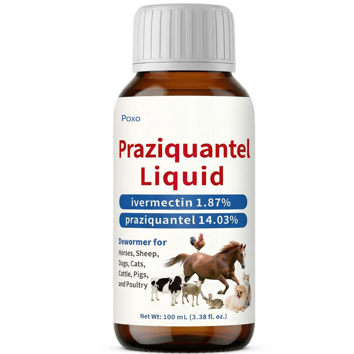 Praziquantel Dewormer 100 mL H4043