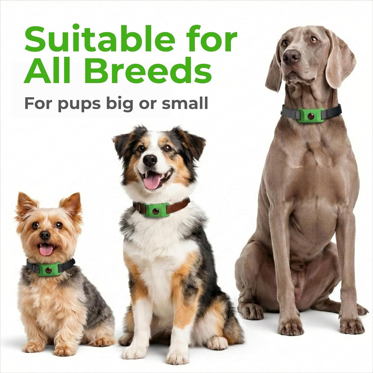 Green Dog Tag A9443