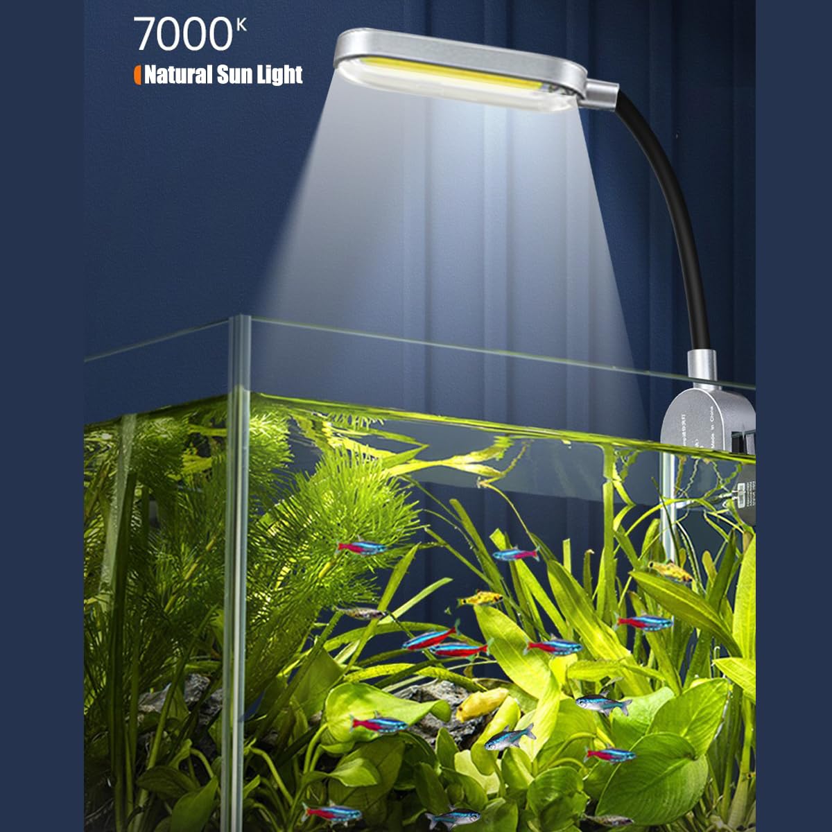 1.5 Gallon Glass Aquarium Starter Kit with Filter and LED Light C149442