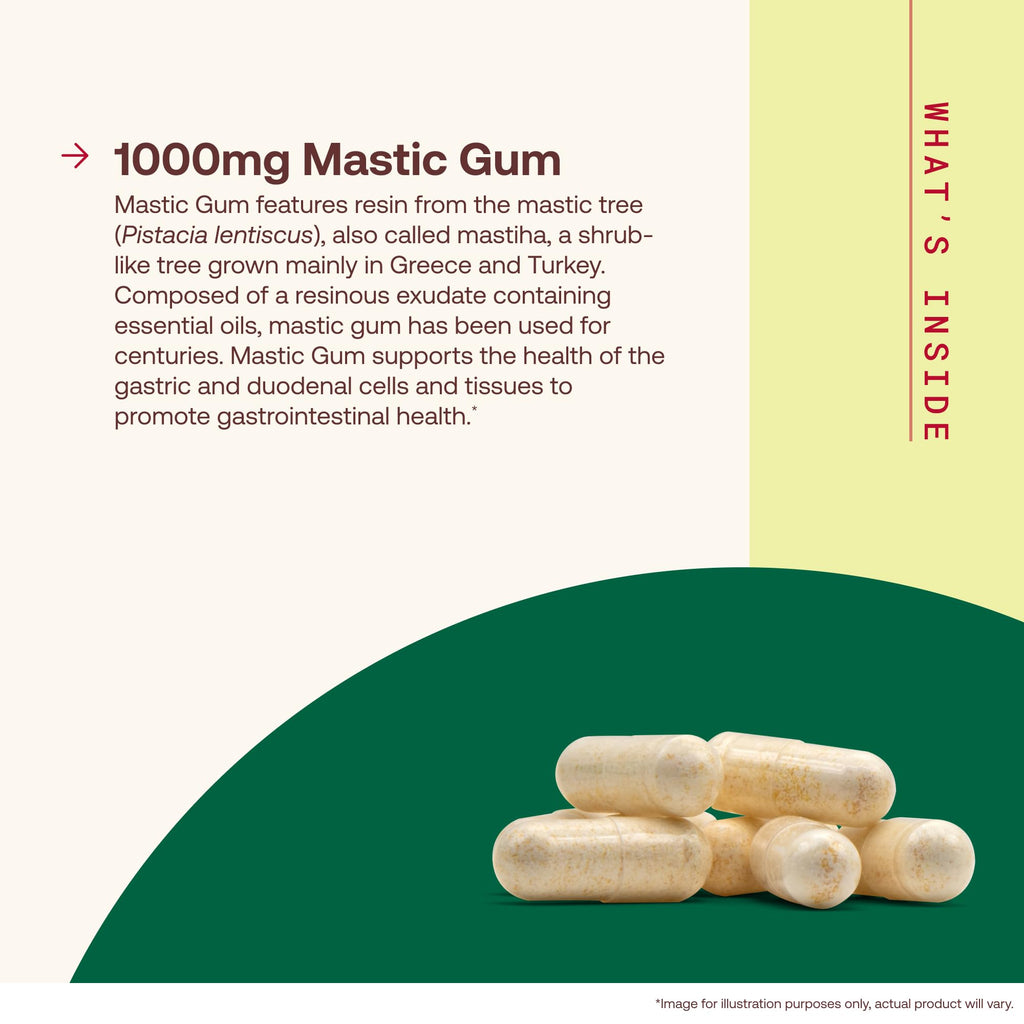 Mastic Gum 1000mg 60 Capsules E574980