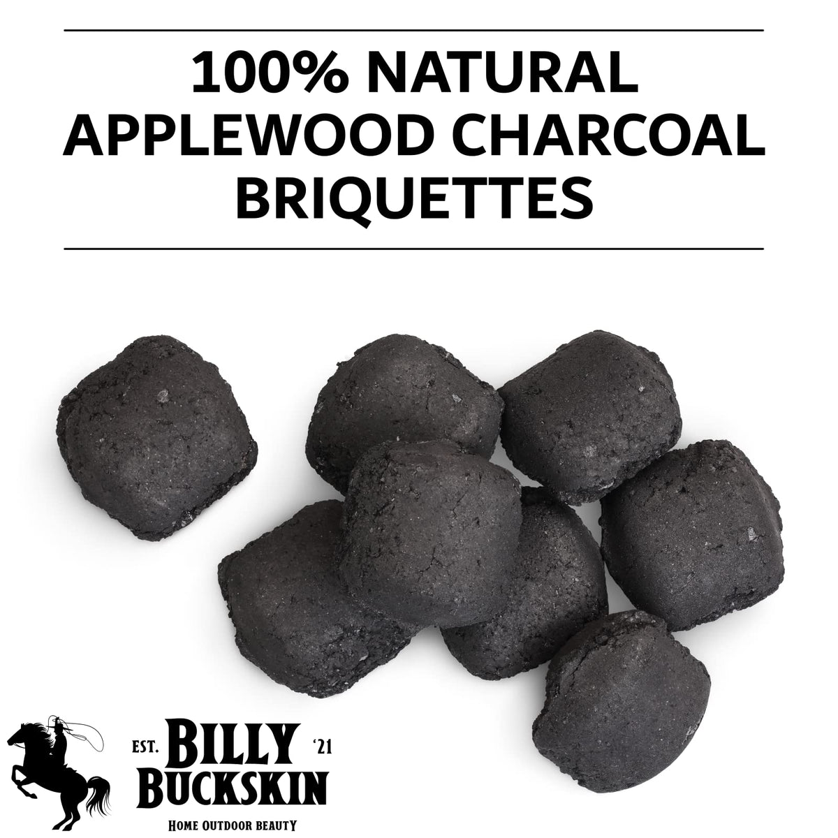Oak & Applewood Charcoal Briquettes 6.5 Lb E150964