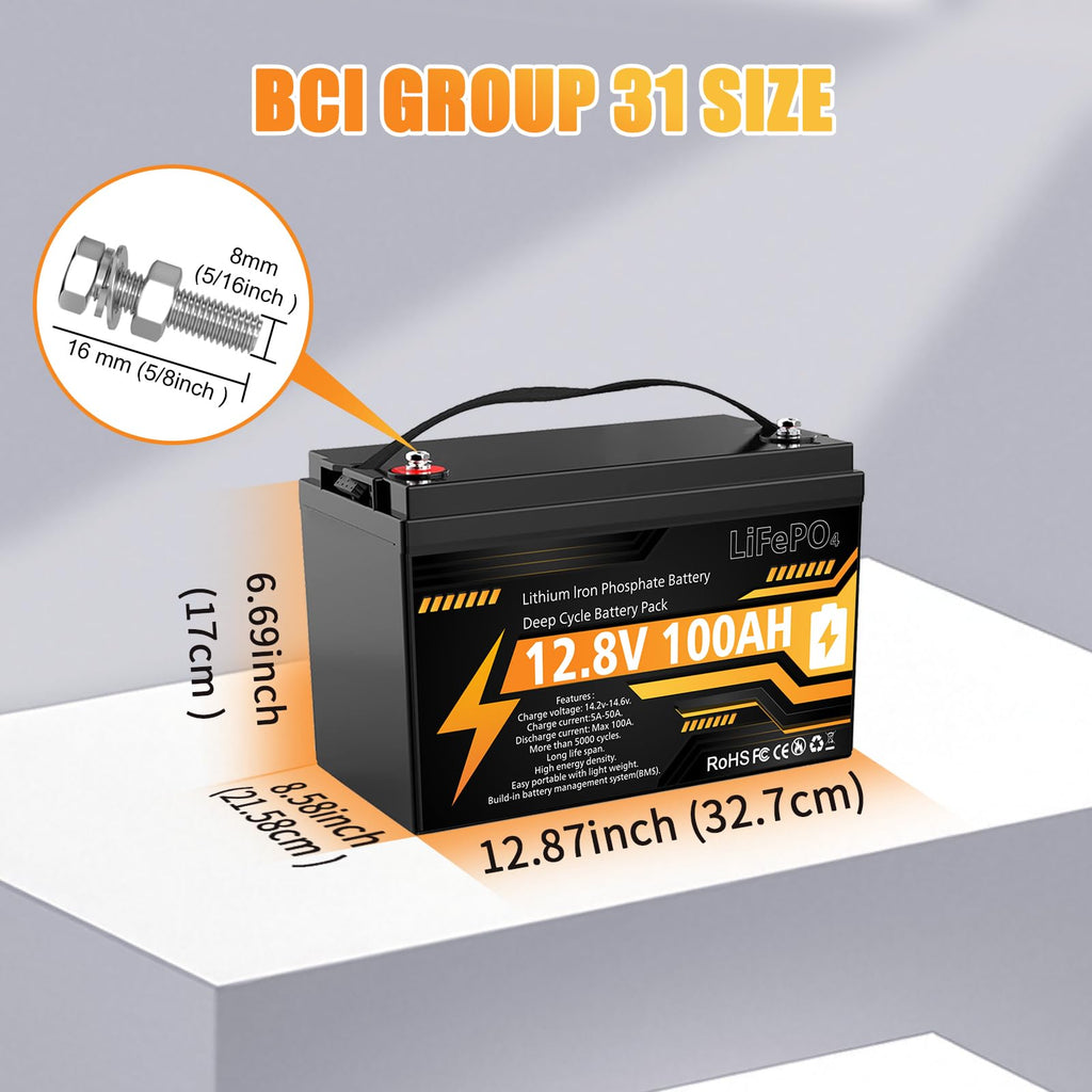 12V 100Ah LiFePO4 Deep Cycle Battery M39791