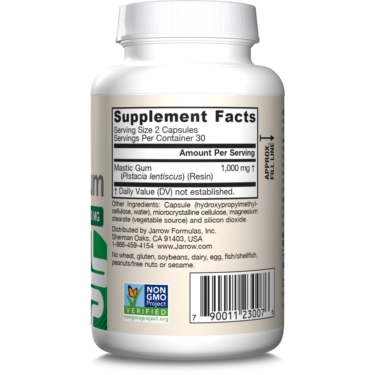 Mastic Gum 1000mg 60 Capsules E574980