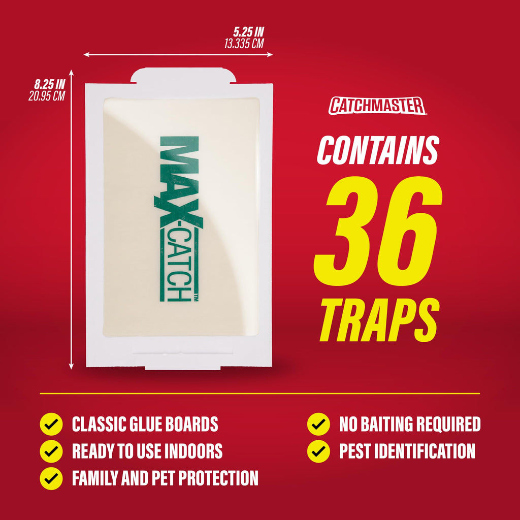 Glue Traps 36pk E6281