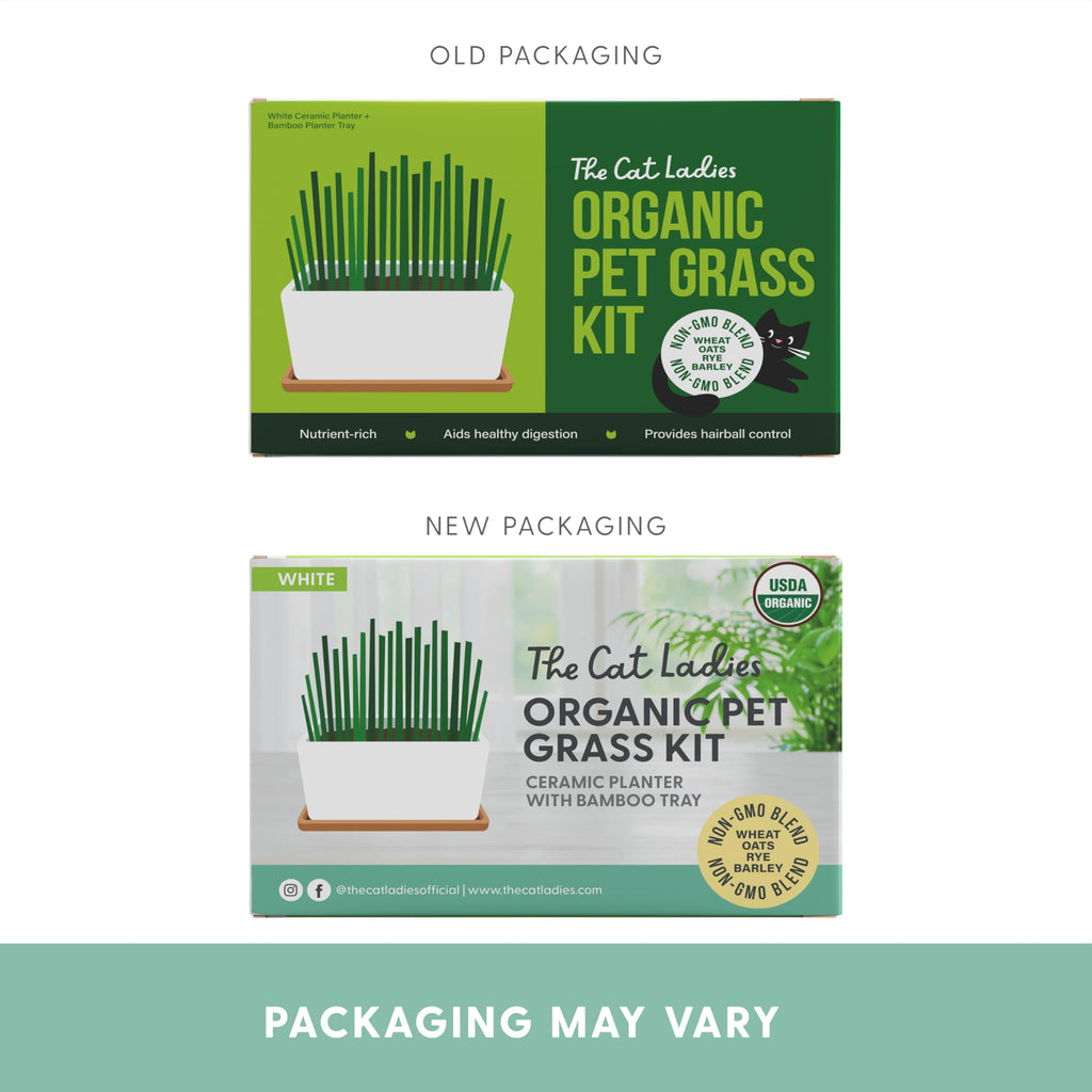 Organic Cat Grass Growing Kit with Seed Mix, Soil and Ceramic Planter F101