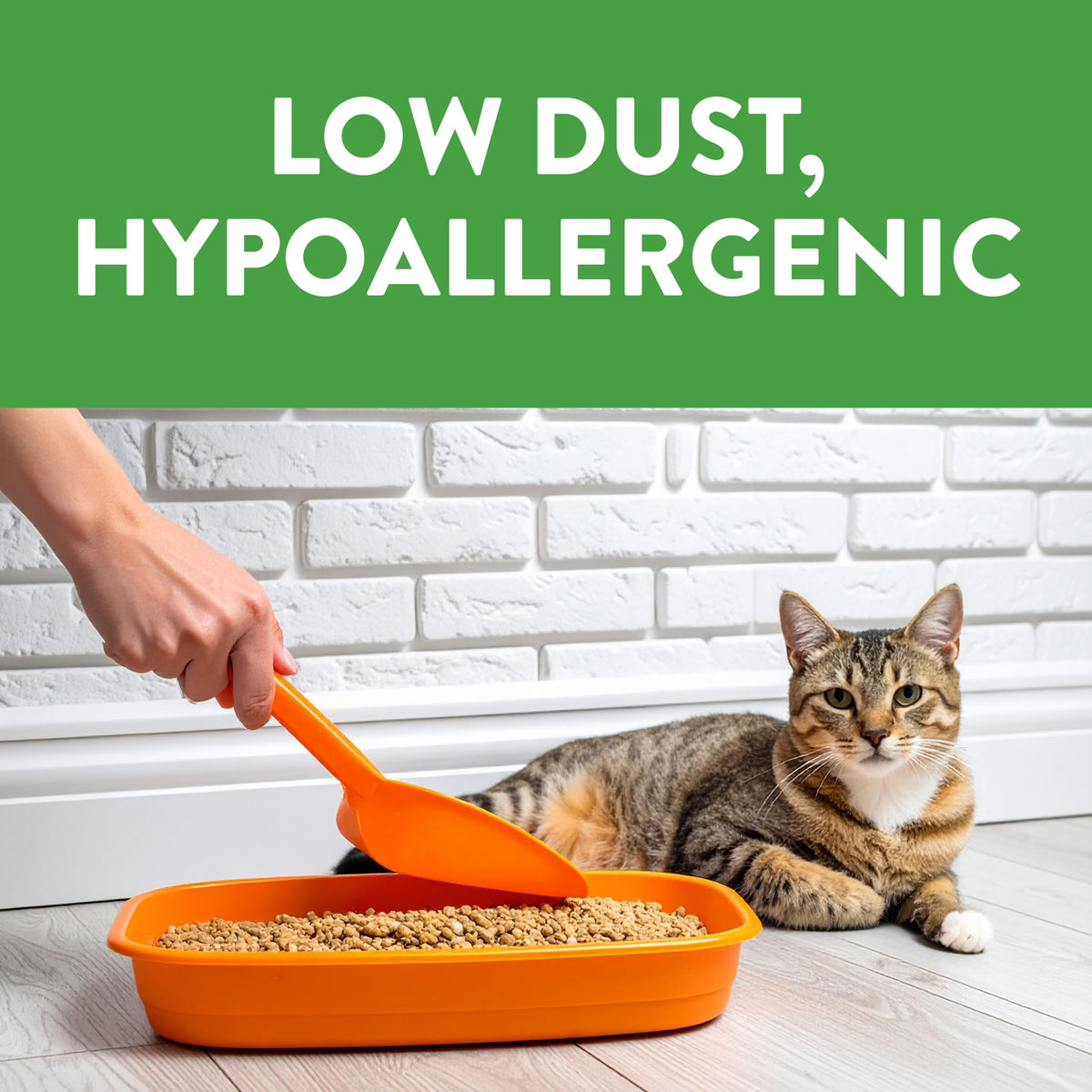 Non-Clumping Cat Litter 17lb I561