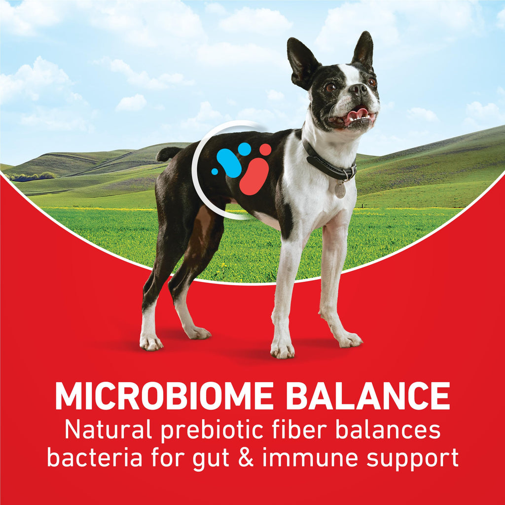 Dog Food Beef and Rice K87022