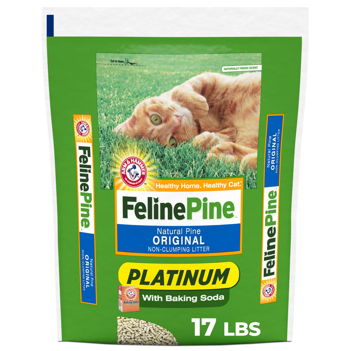 Non-Clumping Cat Litter 17lb I561