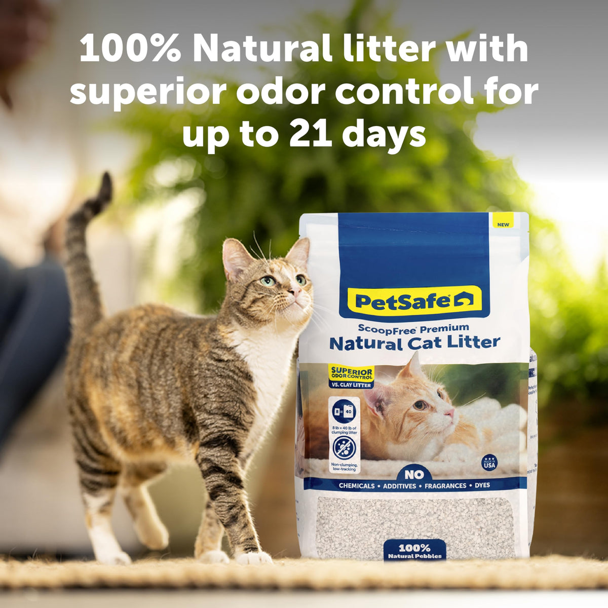 Natural Cat Litter 8 lb Bag S4230