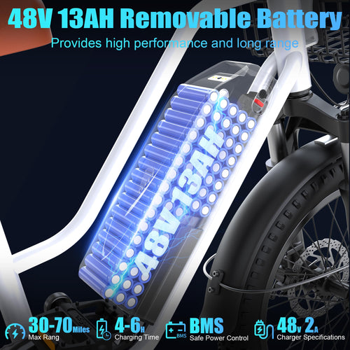 1000W 48V 13Ah Electric Bicycle with Rear Seat and Front Basket R7885