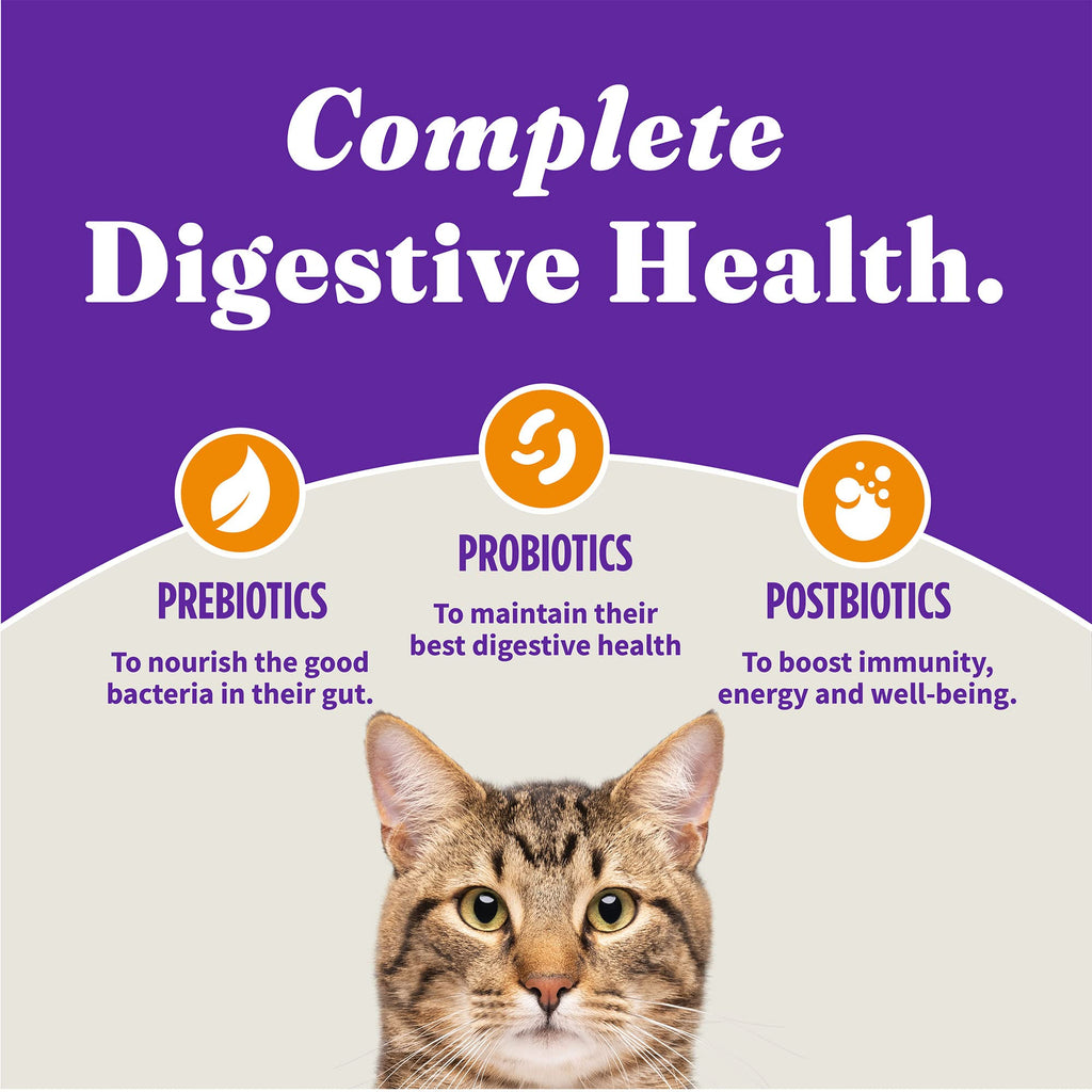 Indoor Dry Cat Food Cage-Free Chicken 6 lb D9479