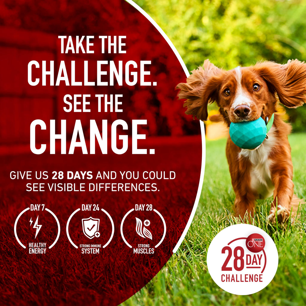 Dog Food Beef and Rice K87022