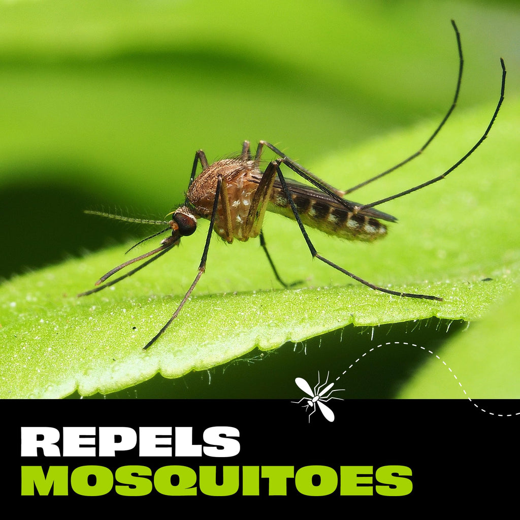 Mosquito Repellent Spray with Botanical Extracts 4 fl oz C71532