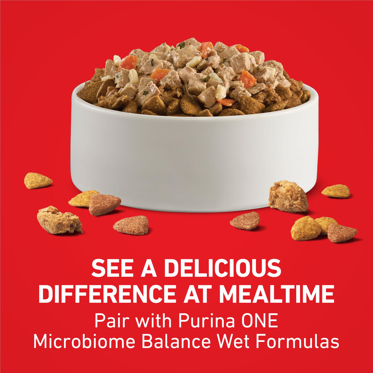 Dog Food Beef and Rice K87022