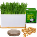 Organic Cat Grass Growing Kit with Seed Mix, Soil and Ceramic Planter F101