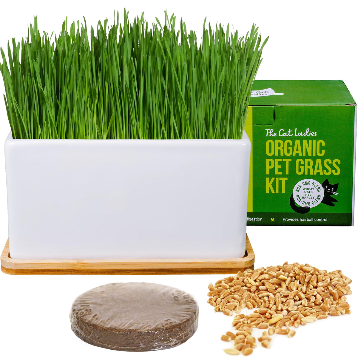Organic Cat Grass Growing Kit with Seed Mix, Soil and Ceramic Planter F101