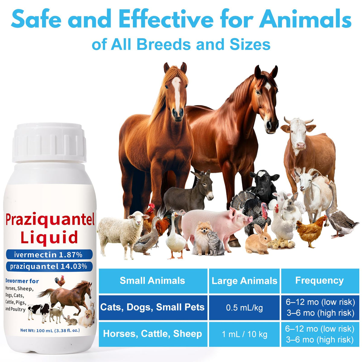 Praziquantel Dewormer 100 mL H4043