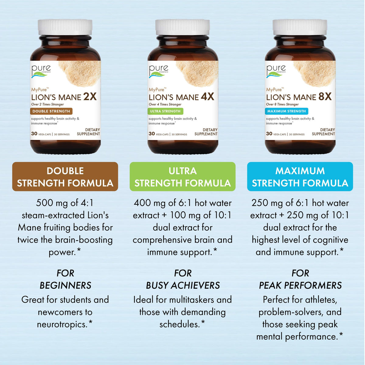 Lion's Mane Brain Support Supplement 30 Capsules X41890