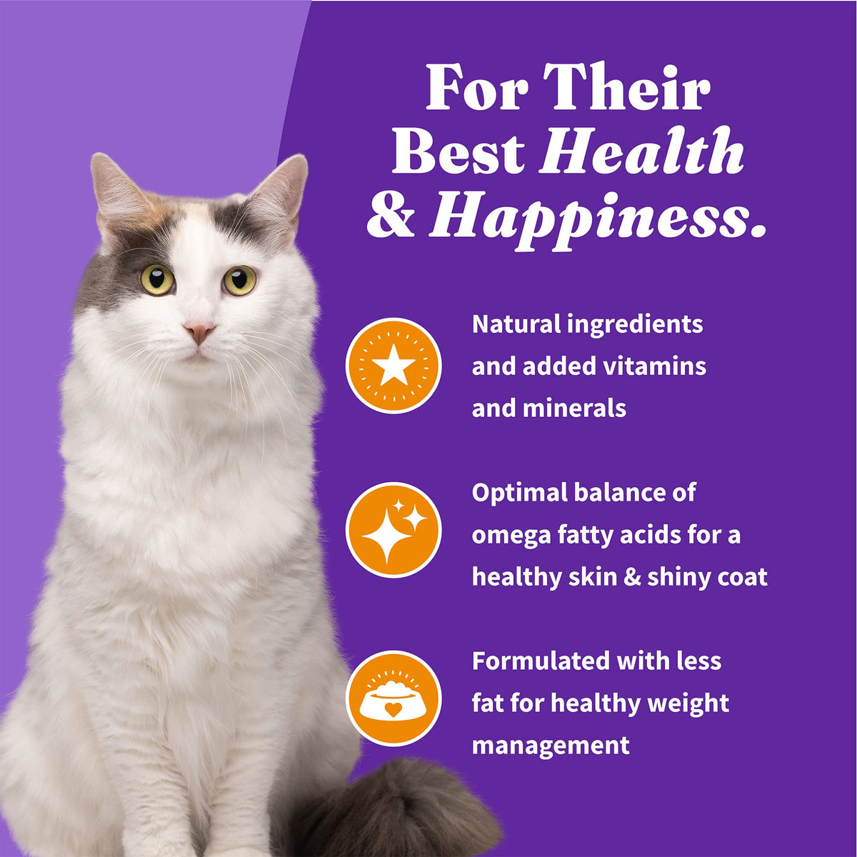 Indoor Dry Cat Food Cage-Free Chicken 6 lb D9479