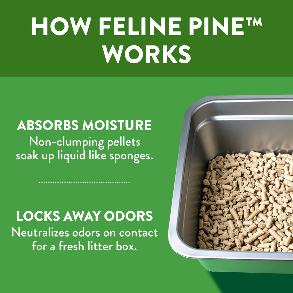 Non-Clumping Cat Litter 17lb I561