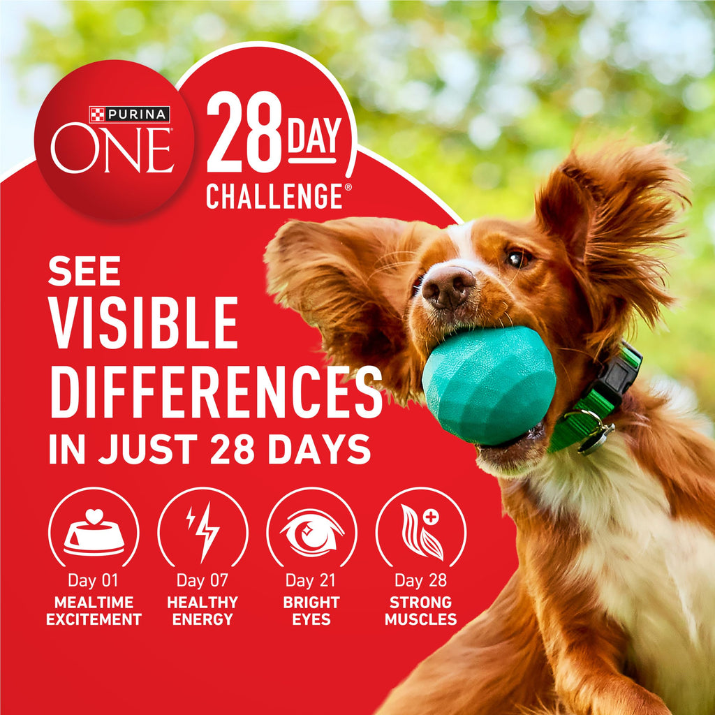 Dog Food Beef and Rice K87022