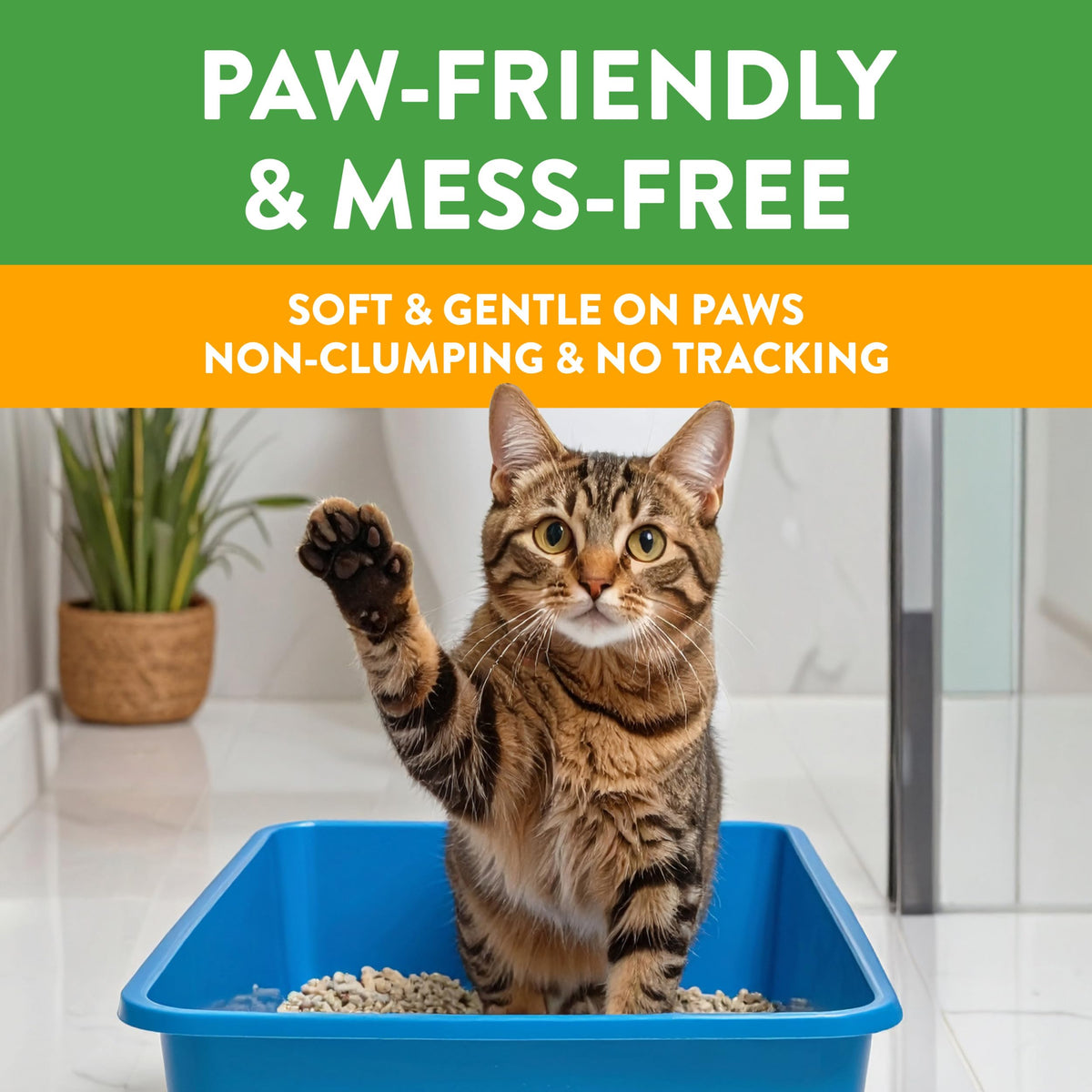 Non-Clumping Cat Litter 17lb I561