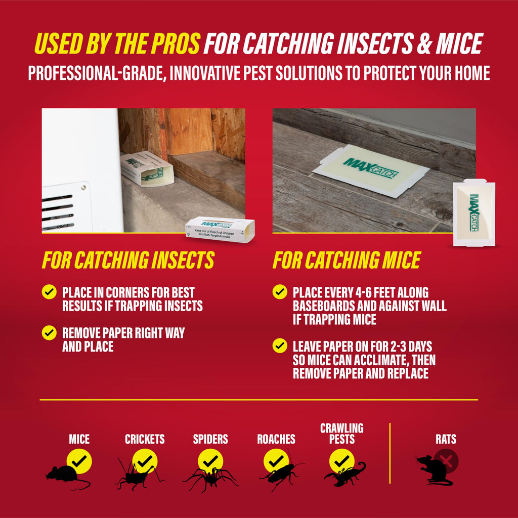 Glue Traps 36pk E6281
