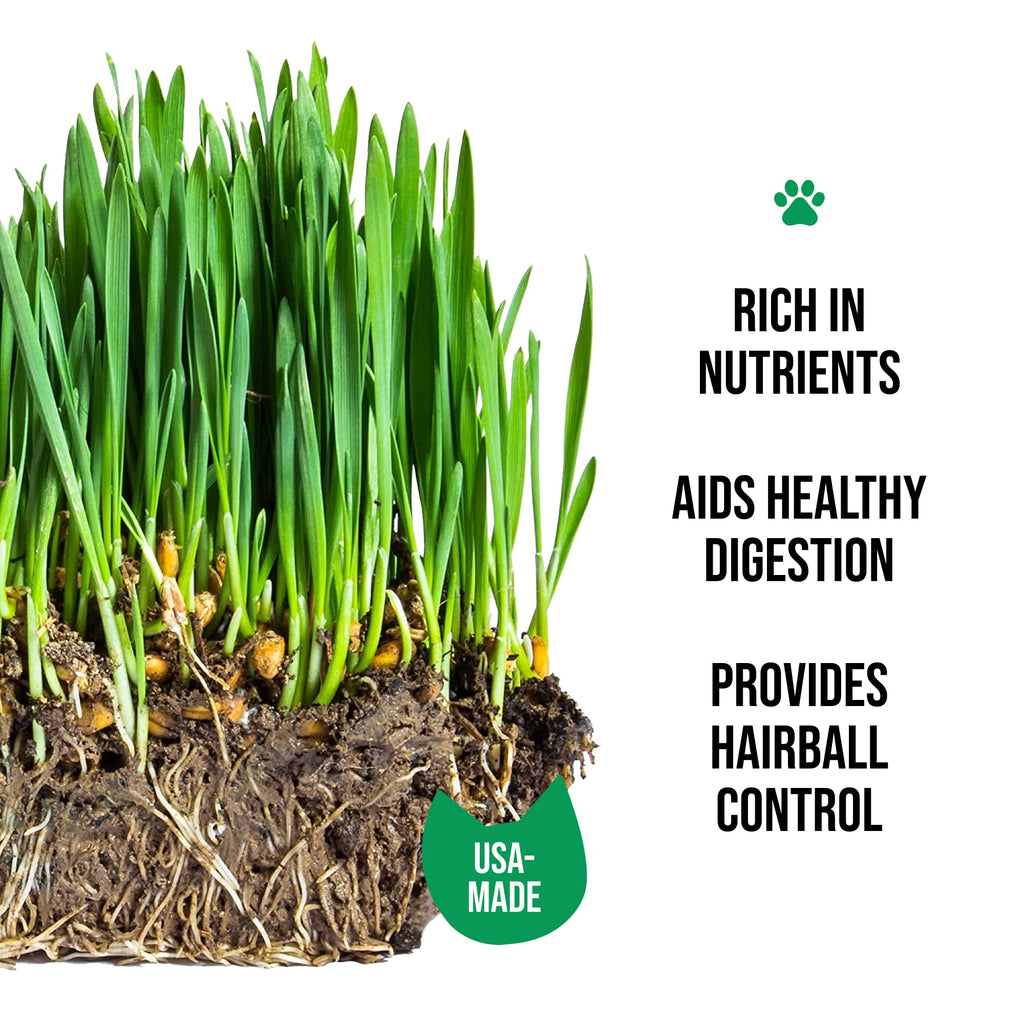 Organic Cat Grass Growing Kit with Seed Mix, Soil and Ceramic Planter F101
