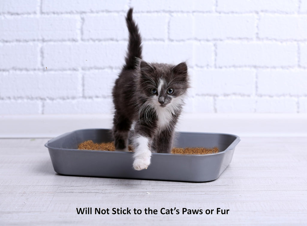 2.2 Lb Activated Charcoal Cat Litter Deodorizer F68173