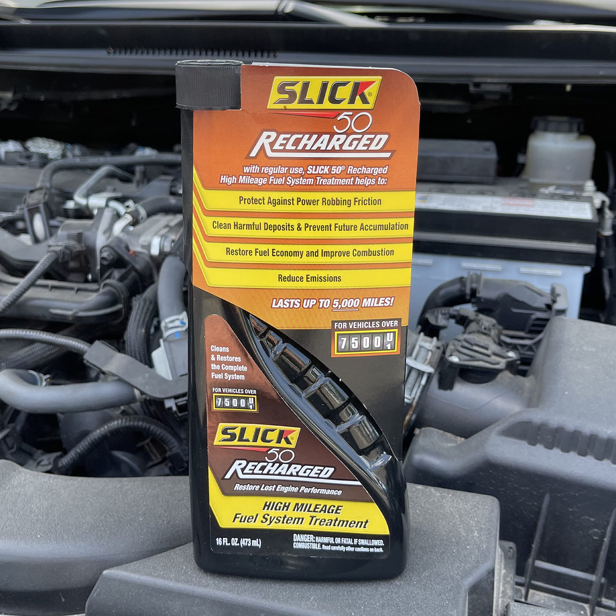 16-Ounce Fuel System Treatment Pack of 2 P874033